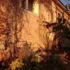 Сиренью пришлось пожертвовать