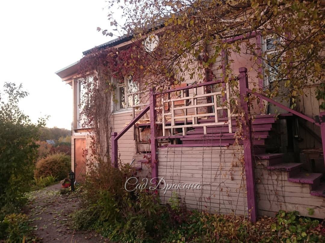 Вот и нет сирени.