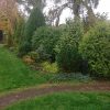 Coniferous forever! Листья опадут, но хвойные будут нас радовать всю зиму. Ну, хотя бы те, что торчат из снега.)) #trees #garden #landscape #beautifulview #ХроникиОсени #осень2016 #automn #Chronicles_of_autumn #beautiful #beauty #bestoftheday #nature #pic