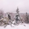 Вдалеке водохранилище - оно вчера замёрзло. Вот теперь точно зима .