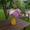 26 июня 2016г. Букет поздних пионов. Bouquet of peonies, flowering at the late of the season.