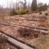 Пока видны цветочные грядки. Летом всё это скроется в буйной зелени.) 🌿🌸