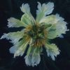 Готика пионов Green Halo