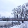 Сегодня прогулялись по деревне. Вокруг пожарного пруда деревья покрыты тоненьким льдом. На ветерке всё это тихонько звенит.      