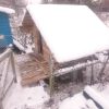 Неожиданно лестница для входа в курятник превратилась в широкий помост.