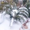 От зимы улетаю на юг! 😊 💧❄💧❄💧❄💧❄💧