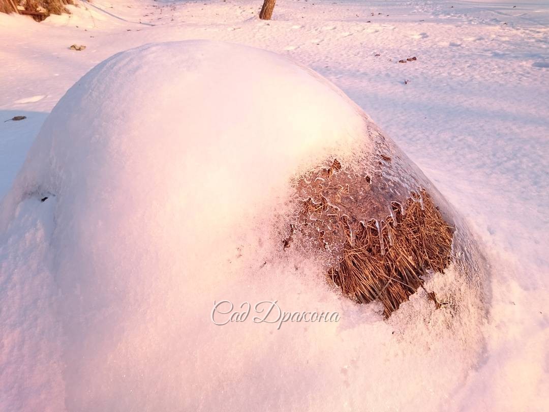 Оттаяла копёшечка.? In the sun thawed a little mop of hay.        