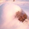 Оттаяла копёшечка.☀ In the sun thawed a little mop of hay.        