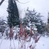 Солнце не вернётся? Sun, you get back? 😊 ❄           