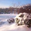 Какое счастье - солнечный день, вот бы и завтра такой!☀❄Sunny winter day in our garden.         