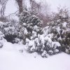 Завалило снегом ❄⛄Пару часов чистили дорожки и автостоянки, на улице не холодно и очень приятно. It dropped a lot of snow.