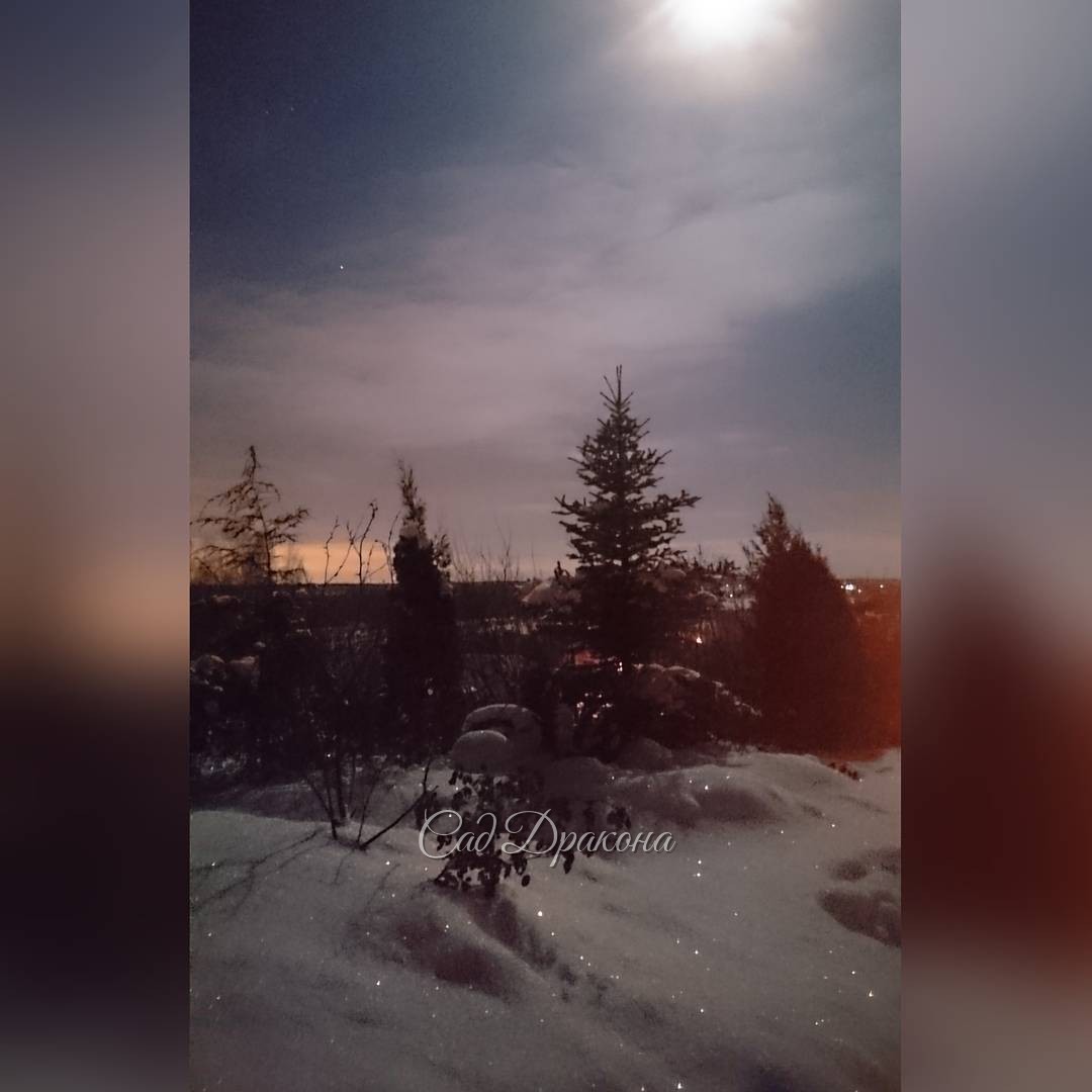 Ночь - хоть иголки собирай! ? Суперлуние! Night. Supermoon.