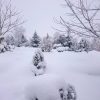 Сегодня новогодне.)) 🎄❄ Such weather everyone wants for Christmas?😄💙❄🎄