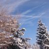 Такая радость видеть голубое небо.☀☀☀Пусть мороз! ❄ ❄ See blue sky, it is joy!💙