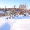 Если кто сегодня не видел солнышка, то вот, делюсь с вами. ☀☀☀❄❄❄