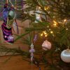 Merry Christmas, our friends from !