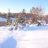 Если кто сегодня не видел солнышка, то вот, делюсь с вами. ☀☀☀❄❄❄