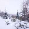 После -30 в -5 на улице жарко ( если чистить снег,❄ например)😊 Коты гуляют часами.😍 🐈
