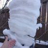 Толщина снега на липовом пне. Видно, как он ложился слоями.❄❄❄