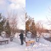 Обрезали клён приречный. Он конкурировал с каштаном, да и вообще занимал слишком много места. Часть стволов спилили, остальные укоротили с помощью высотореза.