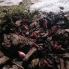 Всего один день мы не выходили в сад. Сегодня вышли, а там! Везде из земли, да даже из снега торчат "носы", проклёвываются цветы! Вот сегодняшний отчёт. Наконец-то и к нам пришла весна!! ☀🌿🌸🌷🎉😄