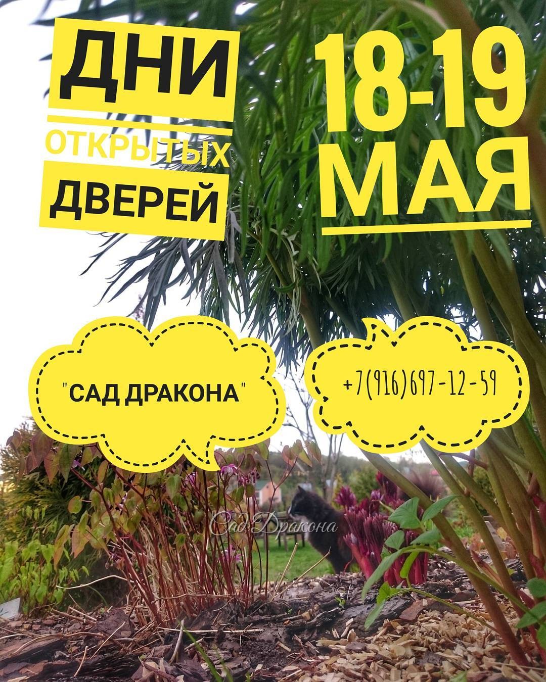 Пока хорошая погода - "продолжение банкета" ???