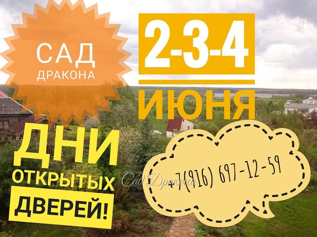 Приглашаем в гости.