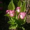 Команда смотрящих в одну сторону 😀😁🌸 К встрече гостей сада готовы! 😄🌱