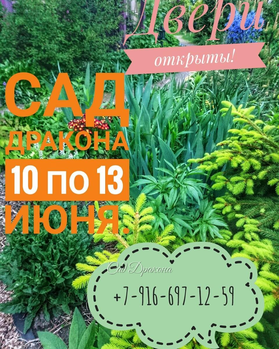 Ждём гостей!