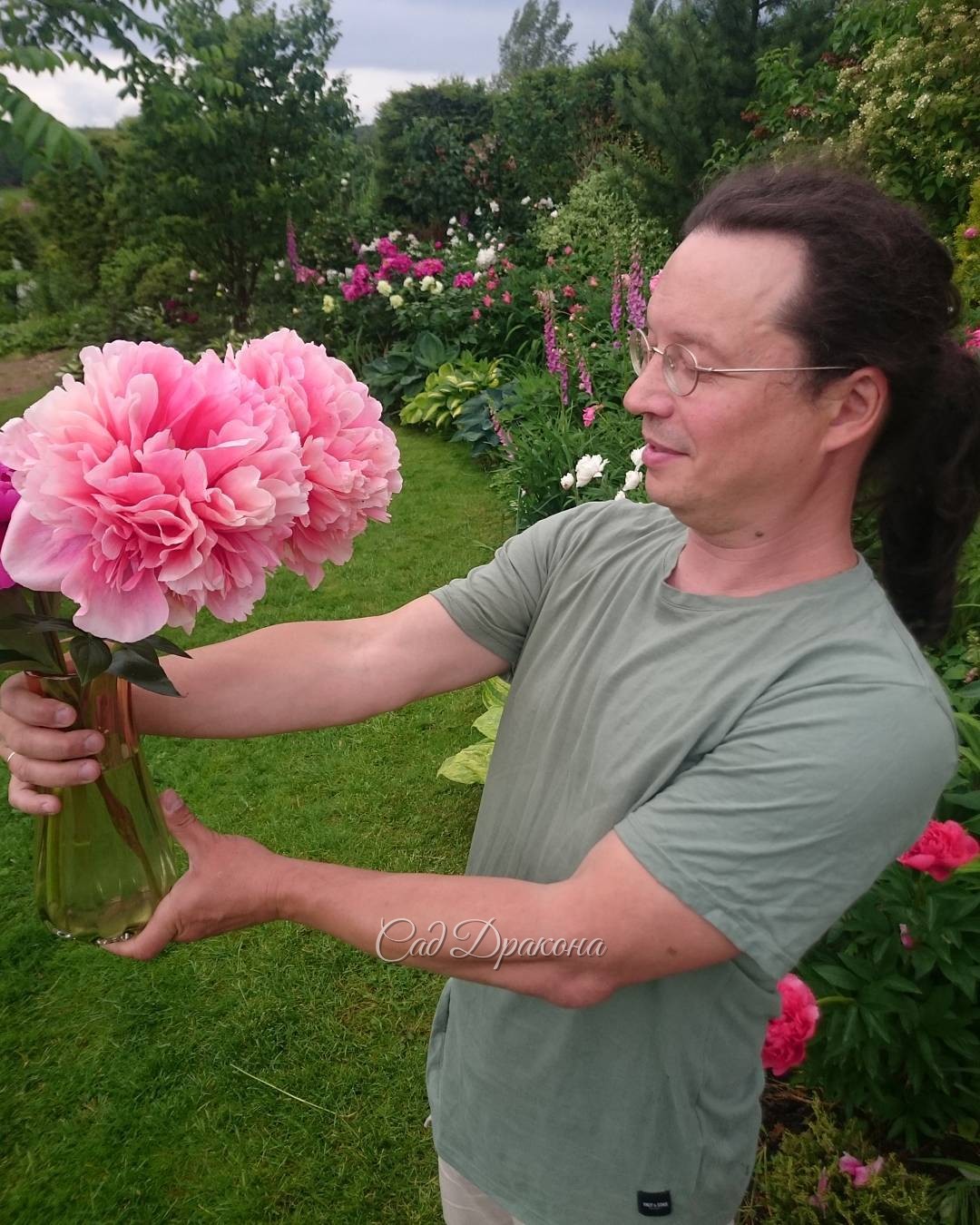 Вчерашний ветер сломал 2 цветка "Glowing Raspberry Rose". ? Неудивительно, они такие огромные, и цветоносы высокие!