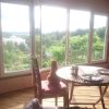 Персиваль созерцатель. (из подсмотренного)