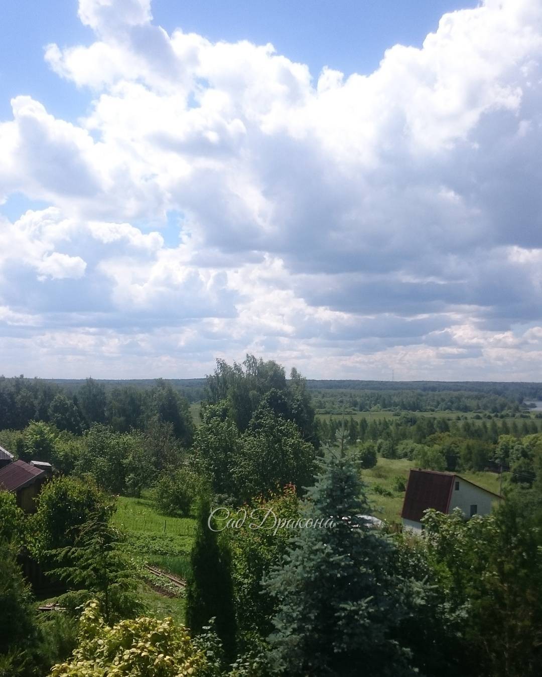 Наконец-то тепло! ???? Вид с балкона.