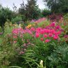 Нижний сад "принарядился" в конце лета. 🌸🌻🌱🏵🌿🌾🌼🍀