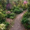Тёплый день, тихий вечер. Теперь каждый такой день - подарок... ☀🌸🌿🌺🌱🌻