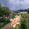 Такие тучи надвигались на нас и принесли дождь ☔. Но короткий! 😊 ☀