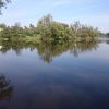 Вид с другого берега запруды на мостик, с которого мы уплываем 🏊😊💙