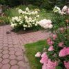 Сад, в котором мы много лет сажали растения. 😊🌳🌺🌲🌻🌱🌸🌿🏵🍀💚 Первые работы были в 1999 году...