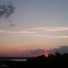 Два дуба в дубовой роще взяли солнце в плен. 🌳 🌅🌳