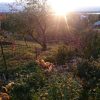 Солнце ещё садится за водохранилище 🌅