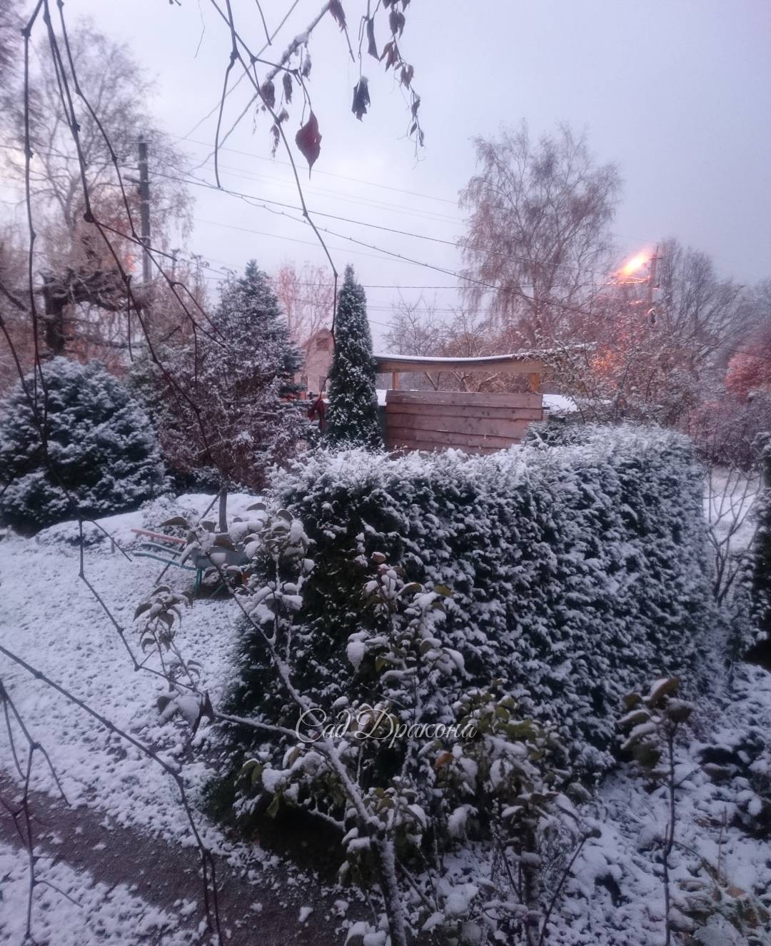 Второе снежное утро ???