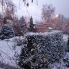 Второе снежное утро ❄❄❄