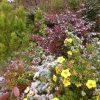 Снег добавил белую краску к ярким оттенками осени🍁🌻🍂🌾🌿