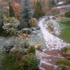 Осень, не сдавайся!! 🍁🍀🍂🌾🌸🌹🍃