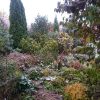 Осень, задержись ещё немного! 🍂🍃🌾 🍁☀🍀