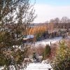 Дубовая роща вдали облетела, а лиственницы у соседа ещё хороши! 🌲💛😄