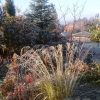 Утром немного подморозило. 🌾❄