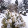Ночью выпал свеженький снежок ❄❄❄