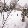 Из окна. ❄