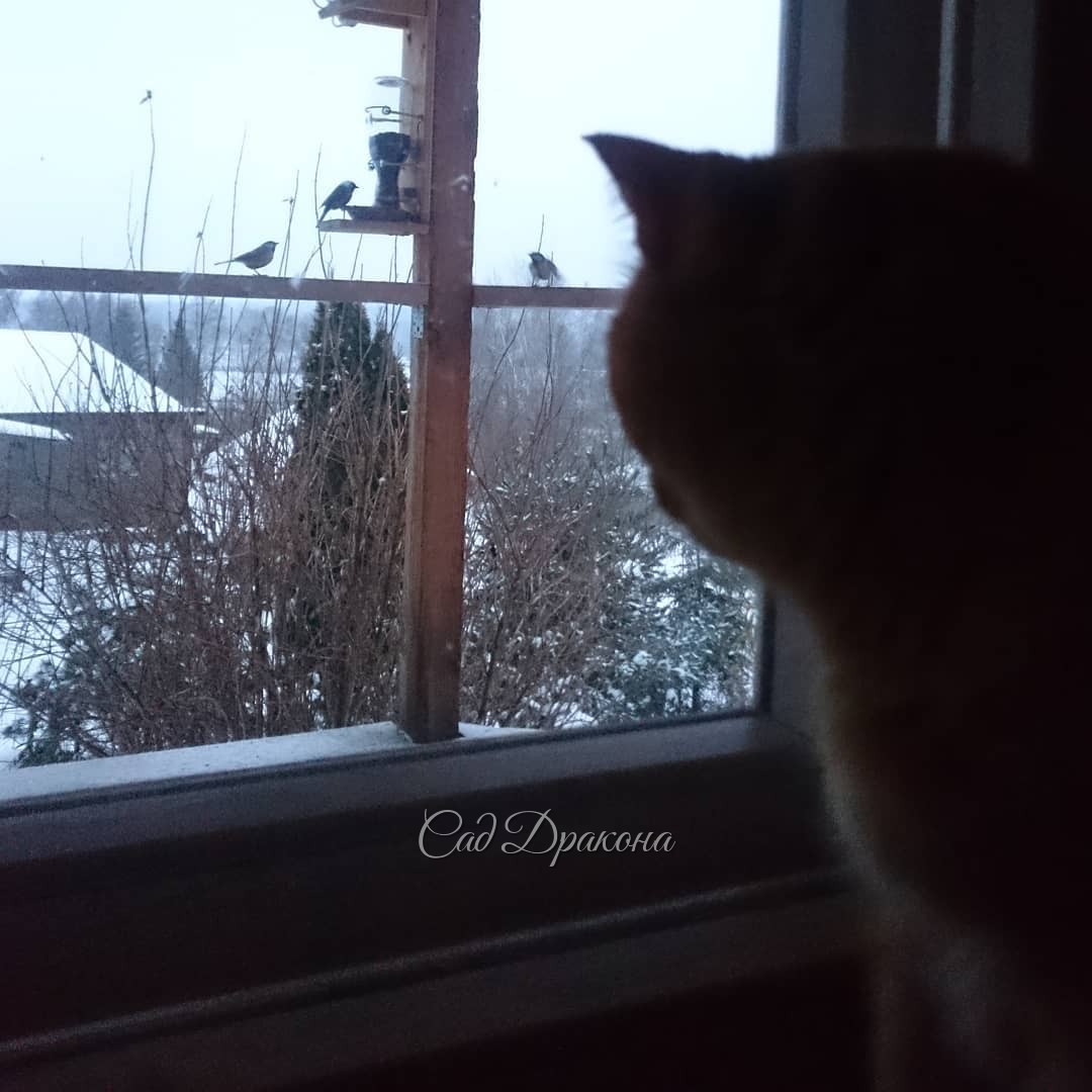 ????
