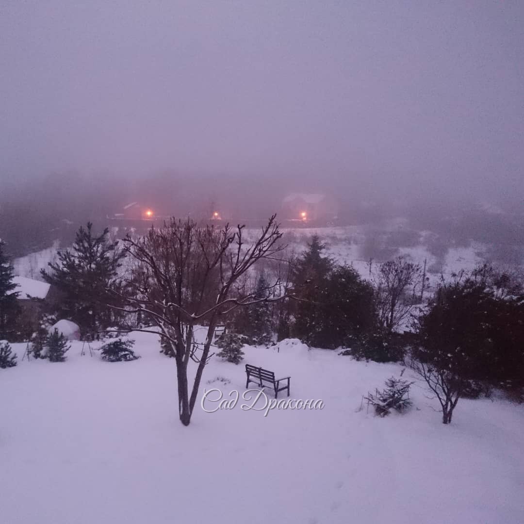 Оттепель. Туман ?